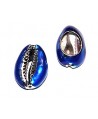 Conchas cauri para customizar electro-chapadas  azul/plata 23/25x16/18mm, precio por unidad