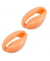 Conchas cauri lacadas naranja melocotón 17x12mm aprox, precio por unidad