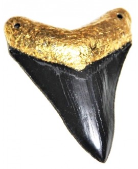 Colgante réplica diente de MEGALODON 11 cm de largo y 8 cm de ancho, paso 3mm