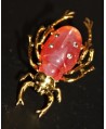 Broche escarabajo 50x35mm