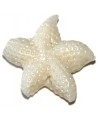Entre-pieza resina estrella de mar blanca 20mm, paso 1mm