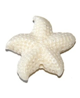 Entre-pieza coral sintético estrella de mar blanca 25mm, paso 1mm