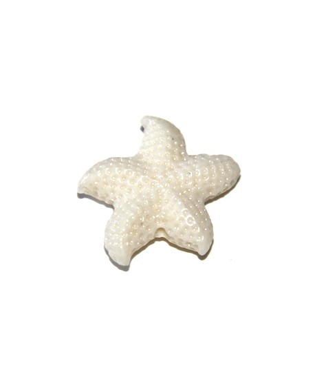 Entre-pieza resina estrella de mar blanca 25mm, paso 1mm